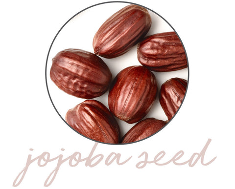 Jojoba Seed